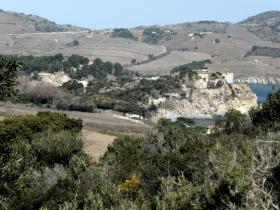 photo coins arrondis